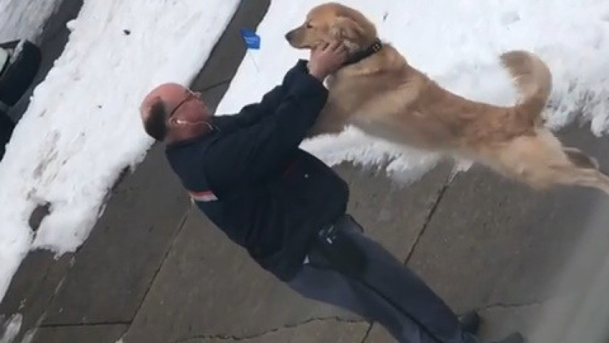 Illustration : "Tous les matins, le facteur s’arrête pour faire un câlin au chien qui l’attend impatiemment"