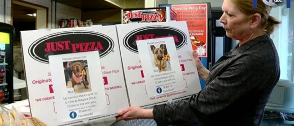 Illustration : "Une pizzeria favorise à sa façon l’adoption de chiens d’un refuge"