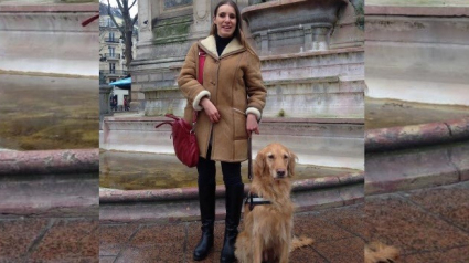 Illustration : Toulouse : 3 chauffeurs Uber refusent de conduire une femme aveugle parce qu’accompagnée de son chien guide