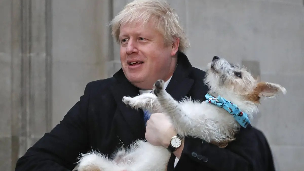 Illustration : "Boris Johnson et sa fiancée ont-ils voulu abandonner leur chien ?"