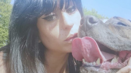 Illustration : Curtis, le chien d’Elisa Pilarski, va quitter la fourrière de Beauvais pour un autre refuge