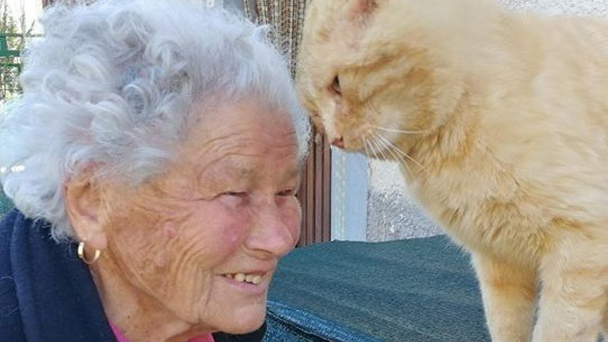 Illustration : "(Vidéo) Les émouvantes retrouvailles entre un chat et sa maîtresse après 4 ans de séparation"