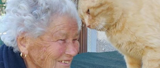Illustration : "(Vidéo) Les émouvantes retrouvailles entre un chat et sa maîtresse après 4 ans de séparation"