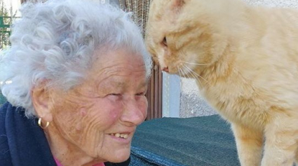 Illustration : (Vidéo) Les émouvantes retrouvailles entre un chat et sa maîtresse après 4 ans de séparation