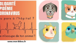 Illustration : Coronavirus : Bibou lance une campagne pour l’accueil des animaux des soignants et des personnes hospitalisées