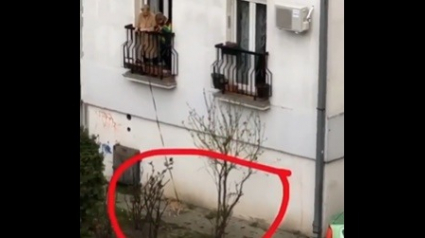 Illustration : En Serbie, une femme promène son chien depuis son balcon (vidéo)
