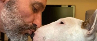 Illustration : "(Vidéo) Ce chien ne pouvait pas mieux soutenir son maître pendant le confinement"