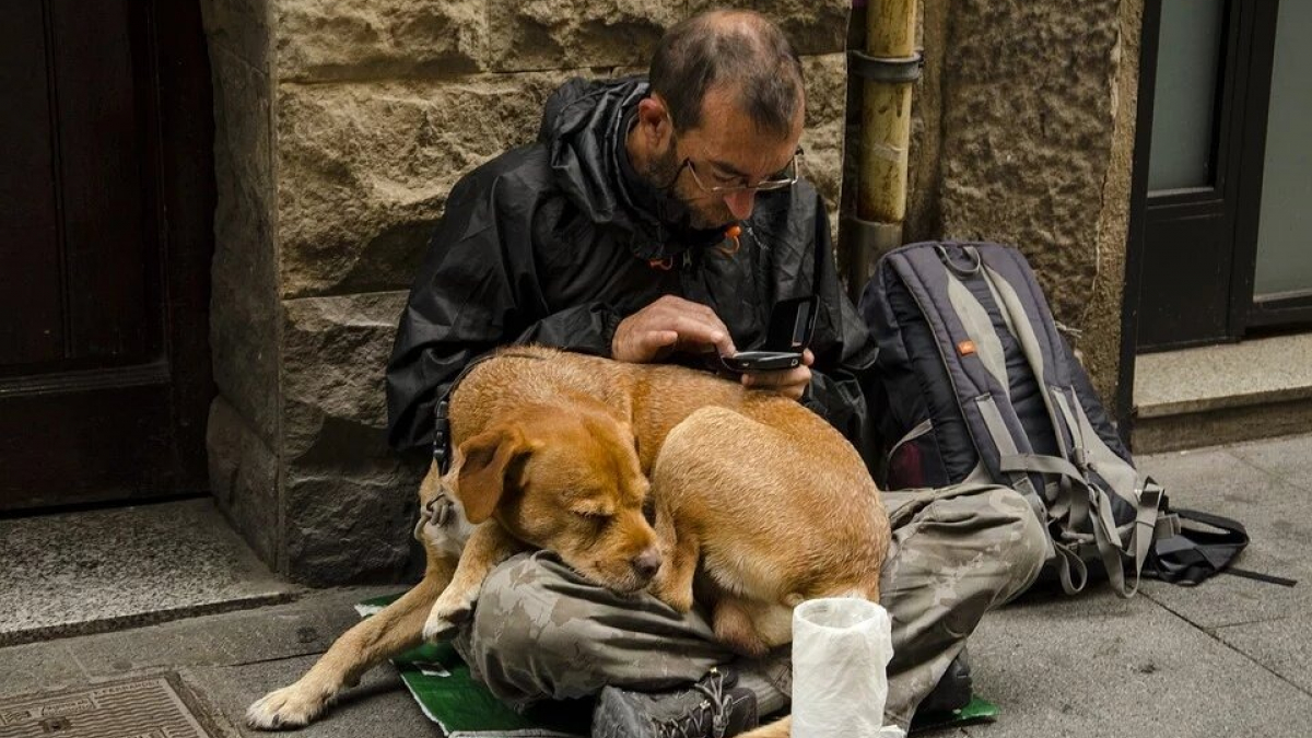 Illustration : "Covid-19 :Un camping ouvre ses portes pour accueillir des sans-abris et leurs chiens"