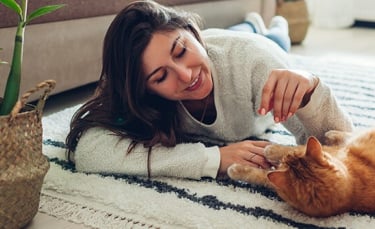 Illustration : "8 idées pour occuper son chat d'intérieur"