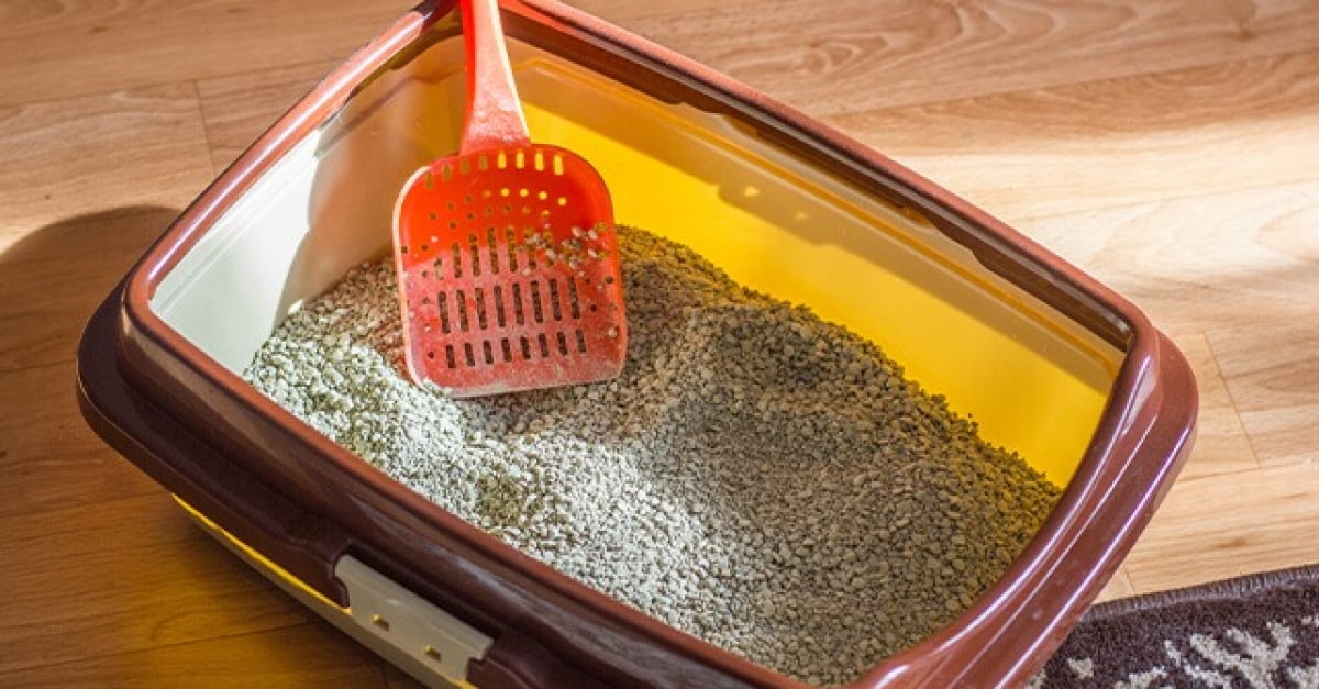 7 Astuces Pour Garder Une Litiere Propre