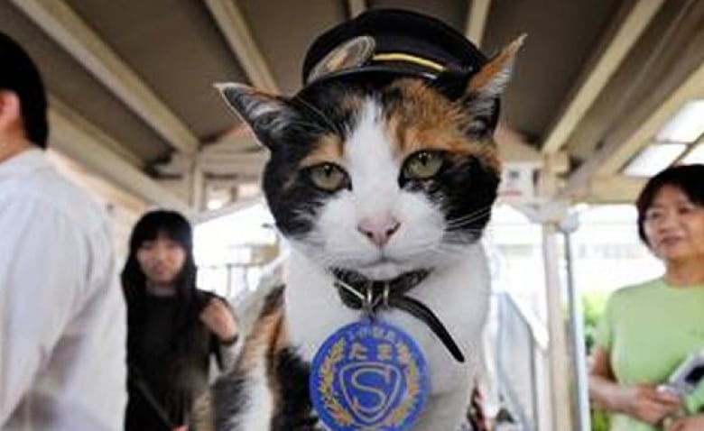 Chat Unisexe Beanie gentilles un Gribouillis-personnages Chat Unisexe Beanie gentilles un Gribouillis-personnages