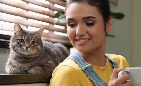 10 Races De Chats Adaptees A La Vie En Appartement