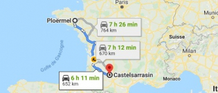 Illustration : "Une vétérinaire effectue 12 heures de route pour adopter un chien pendant le confinement"