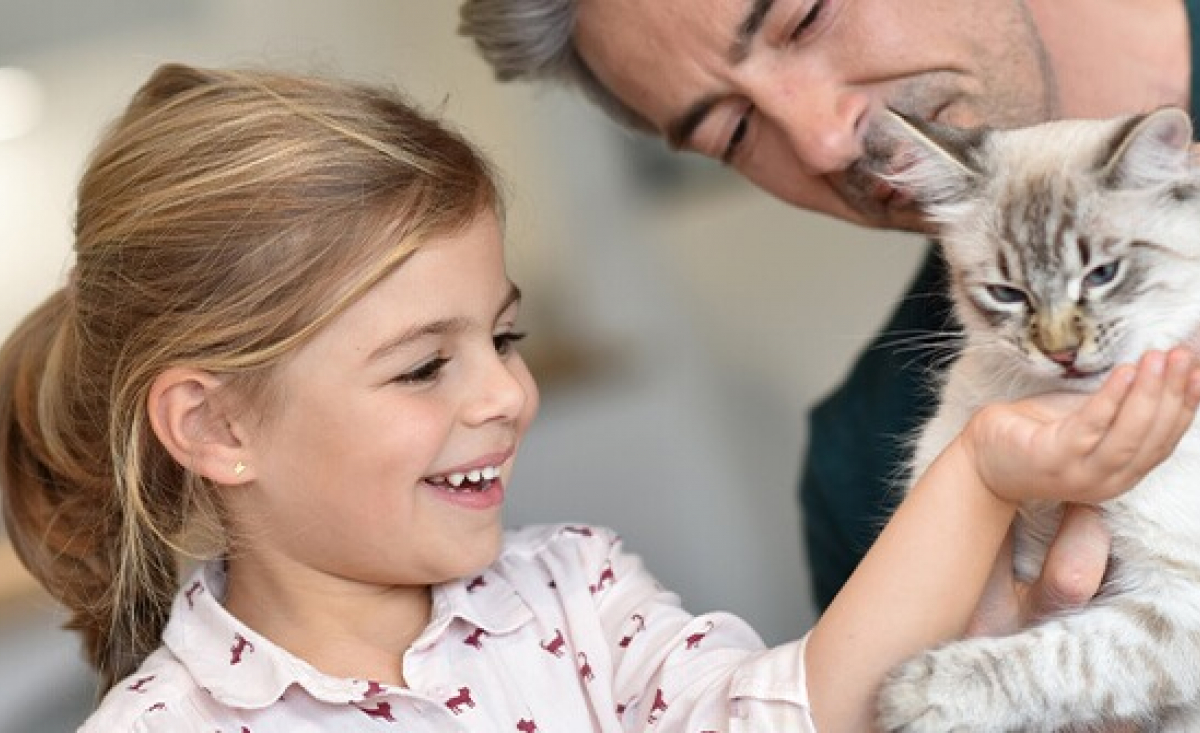 Illustration : "18 races de chats adaptées à la vie de famille"
