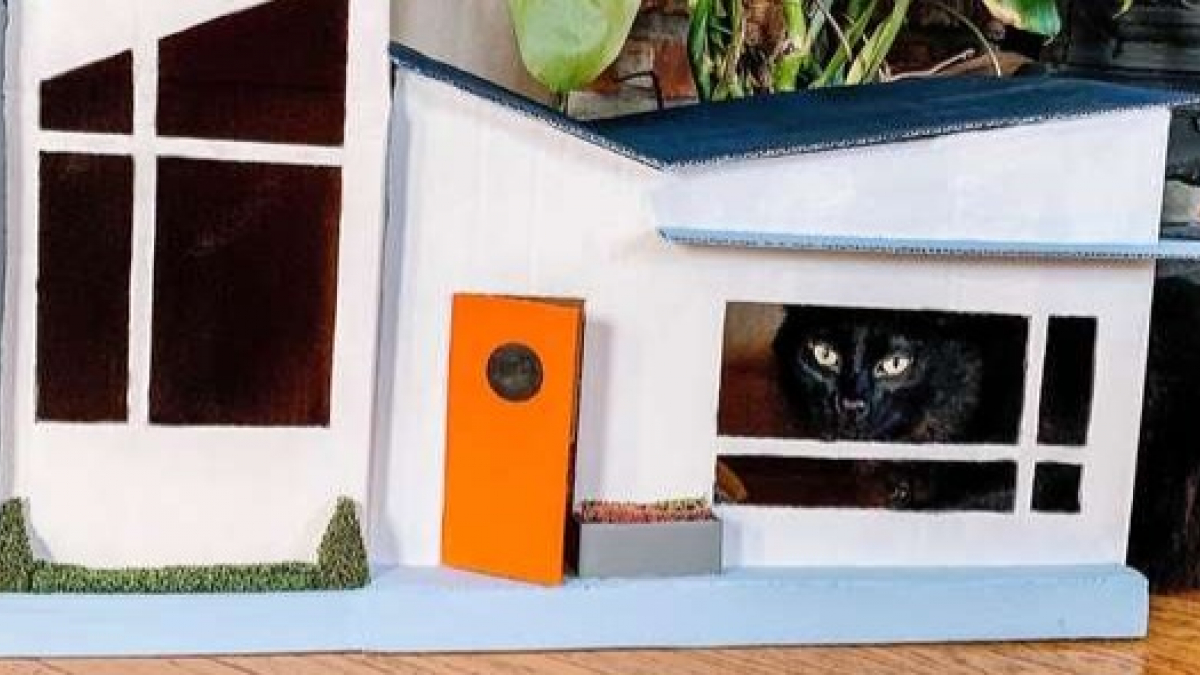 Illustration : "Avec quelques vieux cartons, elle fabrique une maison des années 50 pour ses chats !"