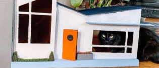 Illustration : "Avec quelques vieux cartons, elle fabrique une maison des années 50 pour ses chats !"