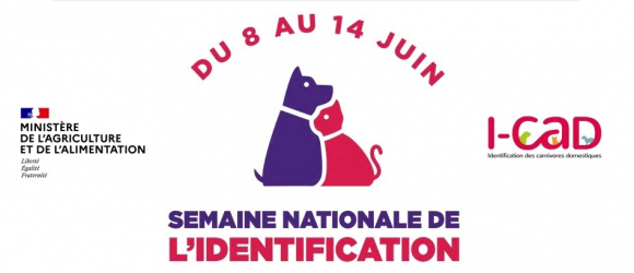 Illustration : "La Semaine nationale de l’Identification des chiens et des chats se tiendra du 8 au 14 juin"