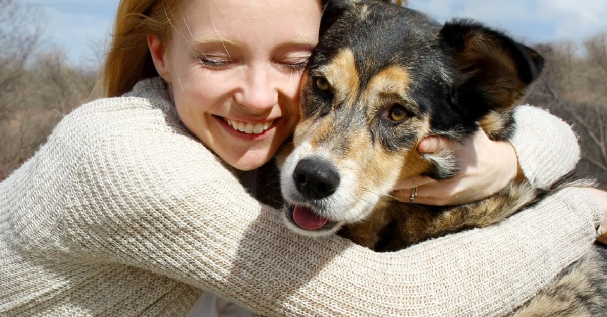 Avoir un chien en bonne santé quelle routine adopter