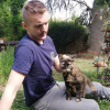Illustration : Le 1er chat atteint de Covid-19 en France est guéri