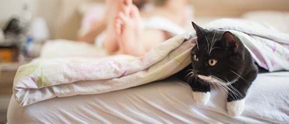 Illustration : "5 astuces pour empêcher votre chat de vous réveiller la nuit"