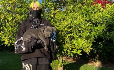 Illustration : "Billie Eilish, folle du chien qu'elle vient tout juste d'adopter ! "