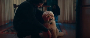 Illustration : "PETA offre un prix inédit pour récompenser la performance de Bradley Cooper et son chien dans