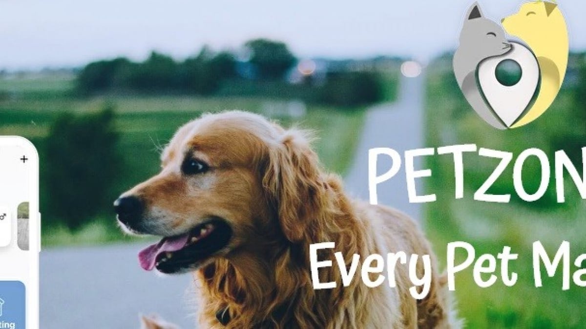 Illustration : "Petzone, une application gratuite pour retrouver son animal perdu, trouver un petsitter et bien plus encore !"