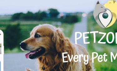 Illustration : "Petzone, une application gratuite pour retrouver son animal perdu, trouver un petsitter et bien plus encore !"