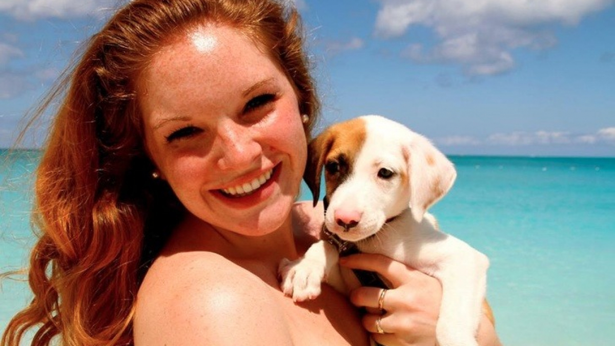 Illustration : "Sur cette île des Caraïbes, les chiens et chiots sauvés sont gardés pour accueillir les visiteurs en mal d'amour "
