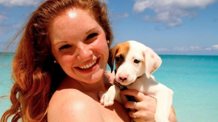 Illustration : Sur cette île des Caraïbes, les chiens et chiots sauvés sont gardés pour accueillir les visiteurs en mal d'amour 