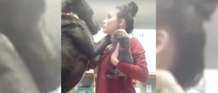 Illustration : "Jaloux de l'arrivée d'un chiot dans sa famille, ce Dogue Allemand a une manière hilarante pour capter l'attention de sa maman"
