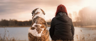 Illustration : "Le chien que vous choisissez deviendra probablement votre sosie, c'est la science qui le dit !"