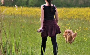 Illustration : "Play-Dogs, une application pour les bons plans promenades avec votre chien"