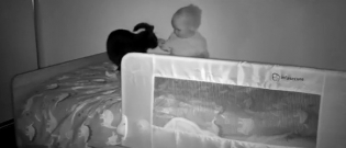 Illustration : "Jaloux à l'arrivée de son frère humain dans la famille, ce chat apprend à l'aimer pendant la nuit "