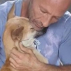 Illustration : Sauvé d'une usine à viande, ce chien remercie son sauveteur d'une manière, on ne peut plus chaleureuse ! 