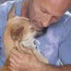 Illustration : Sauv&eacute; d'une usine &agrave; viande, ce chien remercie son sauveteur d'une mani&egrave;re, on ne peut plus chaleureuse ! 