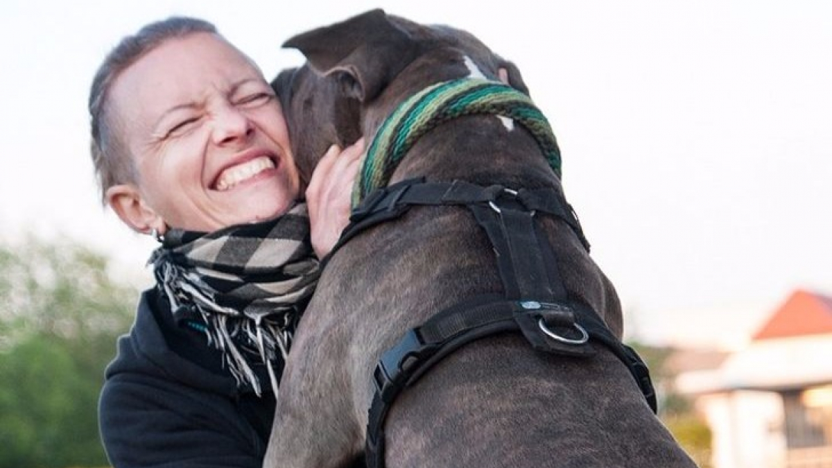 Illustration : "12 raisons qui prouvent que votre chien est un super héros aux super-pouvoirs impressionnants"