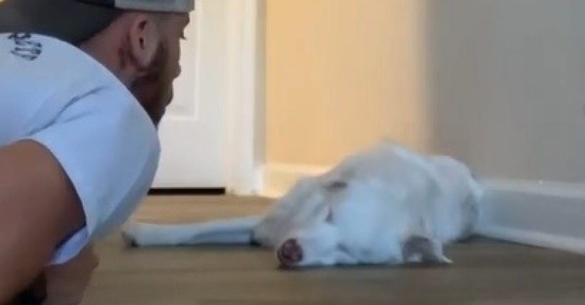 Pour réveiller son chien sourd et aveugle, cet homme a mis