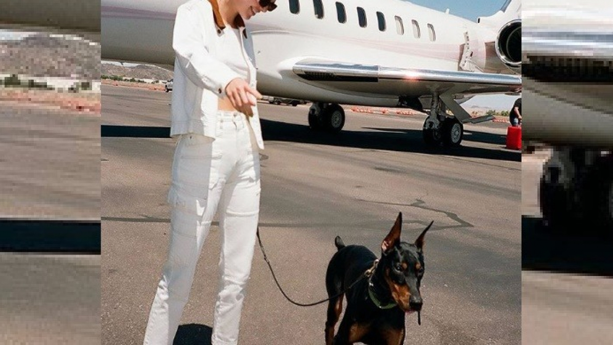 Illustration : "Kendall Jener s'affiche avec son chien, ensemble ils font sensation sur les réseaux ! "