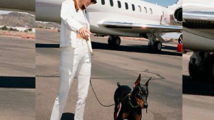 Illustration : "Kendall Jener s'affiche avec son chien, ensemble ils font sensation sur les réseaux ! "