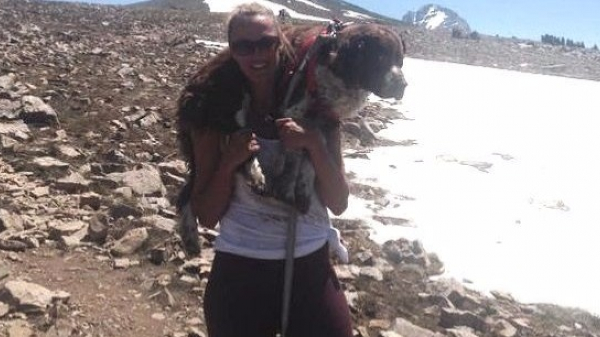 Illustration : "Elle découvre un chien blessé dans la montagne. Elle décide de le ramener à son propriétaire quoi qu'il en coûte "