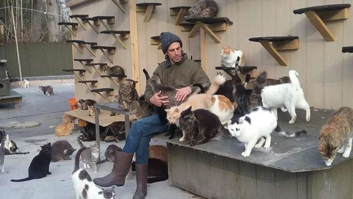 Illustration : "Un propriétaire offre l'espace de sa propriété pour accueillir 300 chats dans le besoin !"