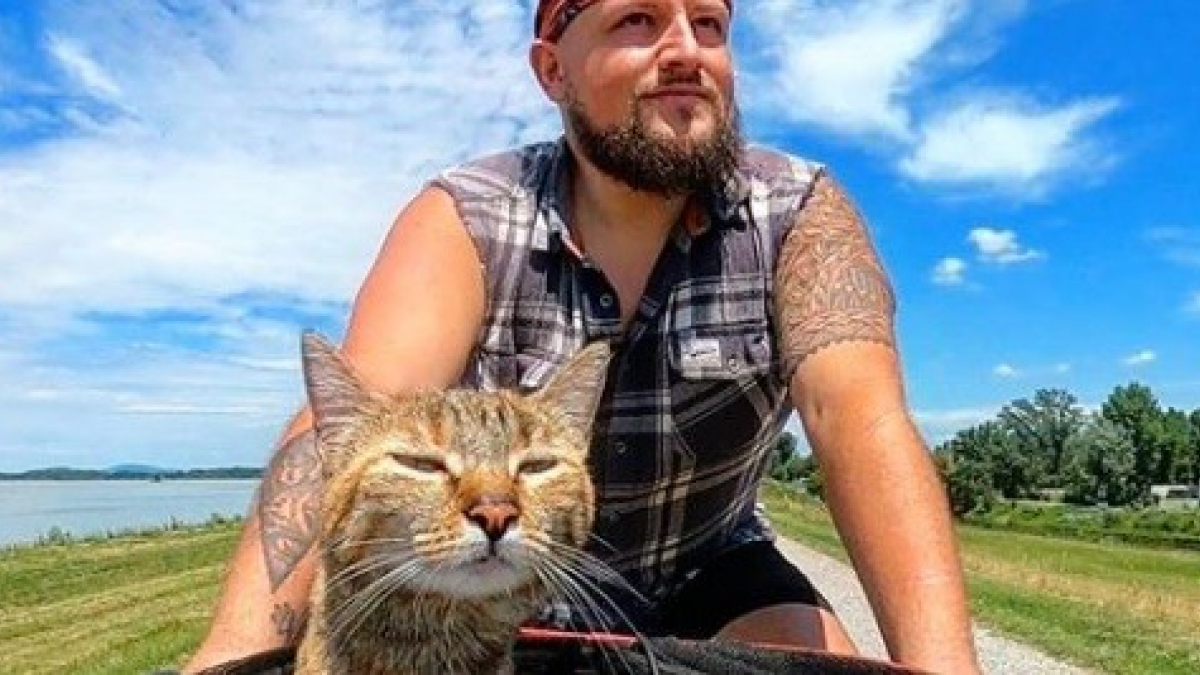 Illustration : "Sauvé lors d'un périple à vélo, ce chat est aujourd'hui le partenaire de voyage parfait pour cet homme ! "