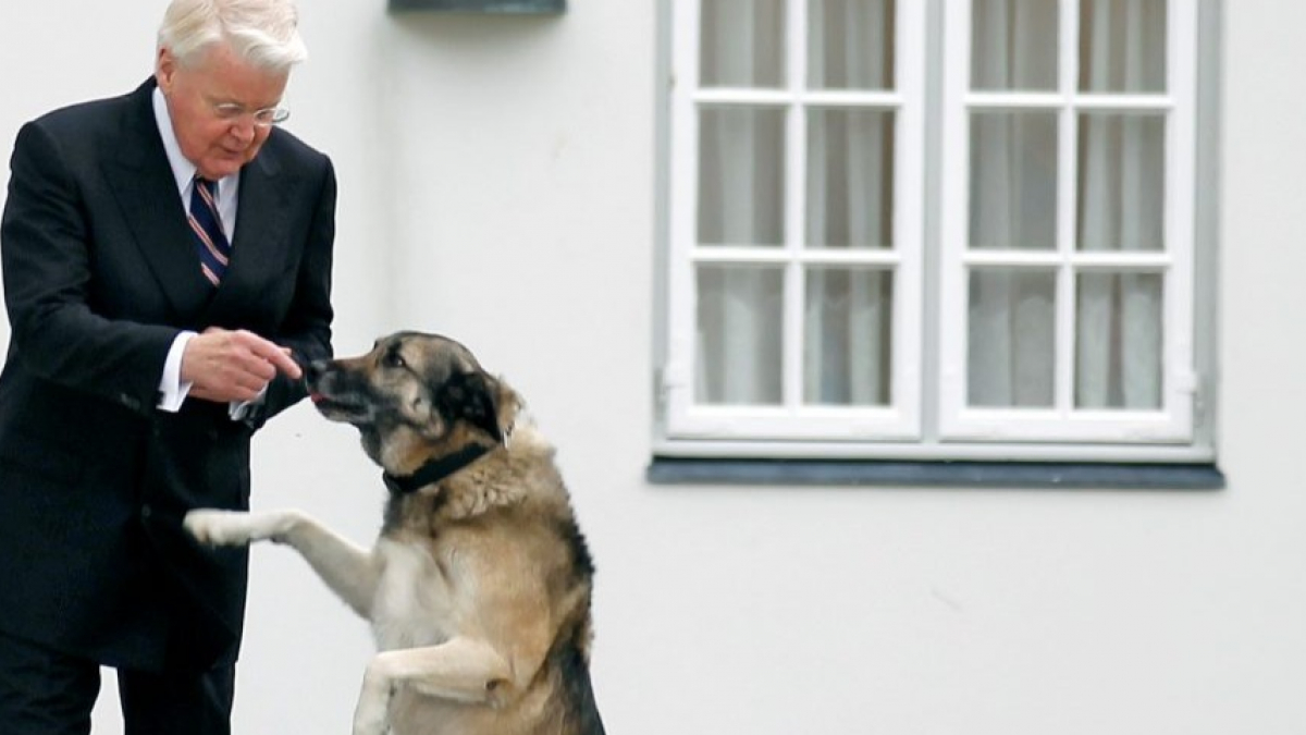 Illustration : "Après avoir cloné son chien avec succès, l'ancien Président islandais prévoit une vie sur plusieurs générations pour Samúr"