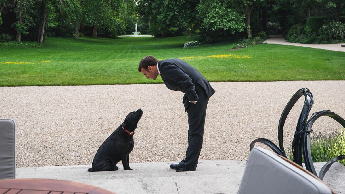 Illustration : "Emmanuel Macron partage les valeurs de la SPA et s'affiche sur les réseaux sociaux avec son chien Némo"