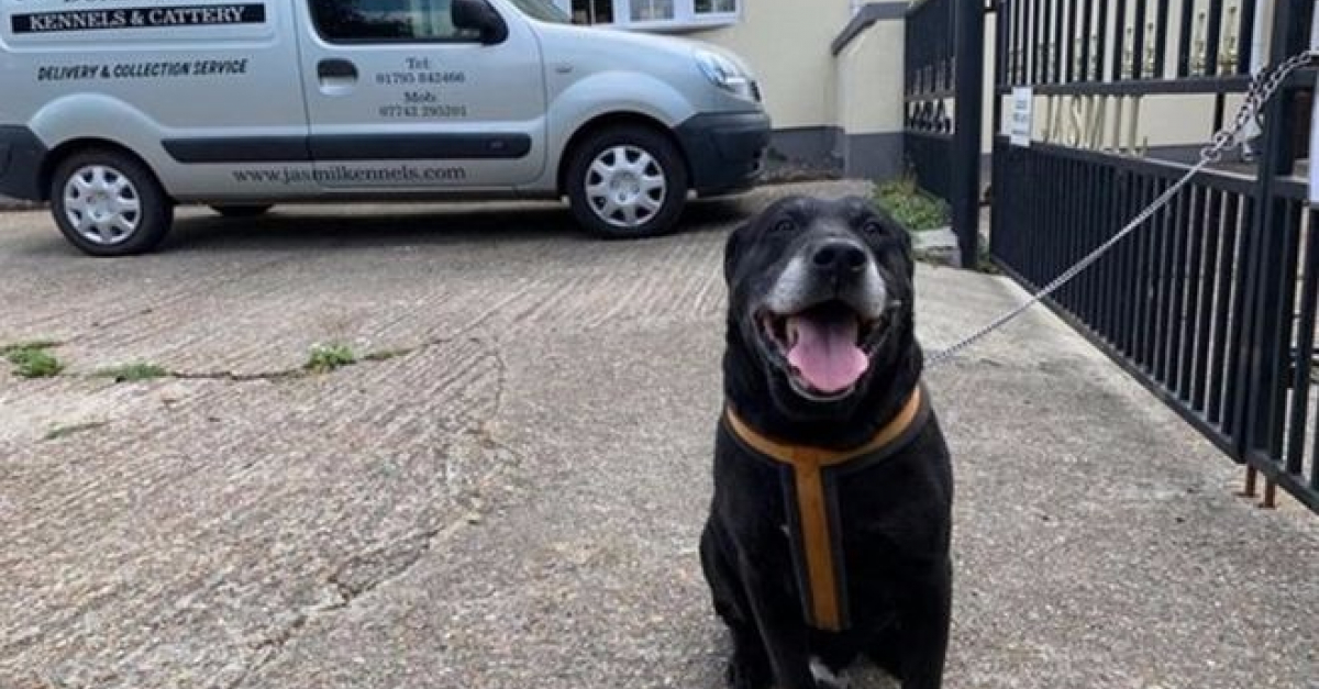 10 années après avoir été adopté, il se fait abandonner
