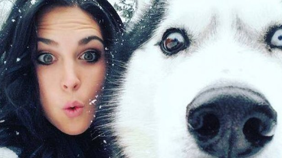 Illustration : "19 selfies de propriétaires avec leurs animaux qui n'ont pas compris qui était la véritable star sur la photo ! "