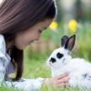 Illustration : Adopter un lapin