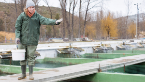 Illustration : "Pisciculteur"