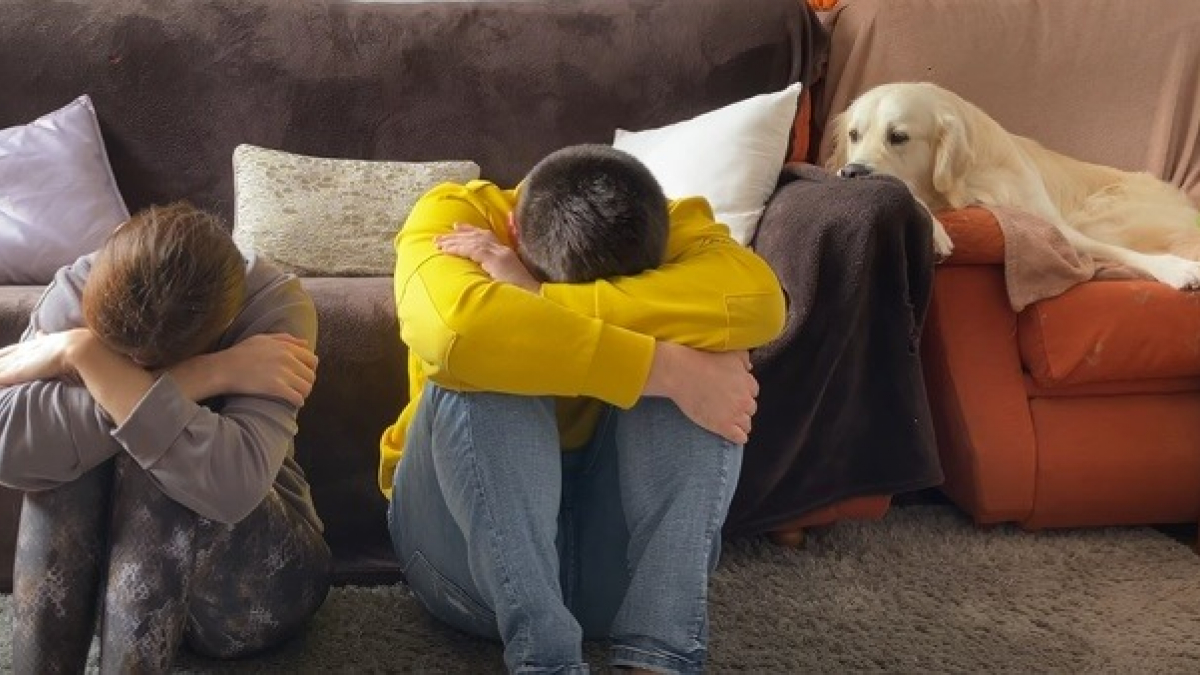 Illustration : "Un couple teste l'empathie de leur chien en feignant d'être déprimé, sa réaction ne se fait pas attendre !"